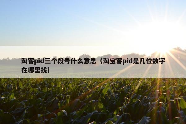 淘客pid三个段号什么意思（淘宝客pid是几位数字在哪里找）