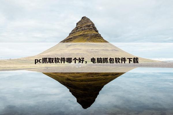 pc抓取软件哪个好，电脑抓包软件下载