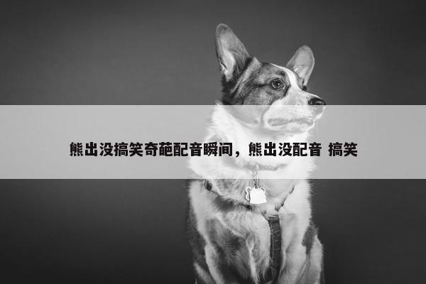 熊出没搞笑奇葩配音瞬间，熊出没配音 搞笑