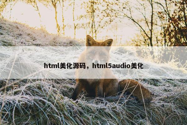 html美化源码,html5audio美化 html美化源码,html5audio美化