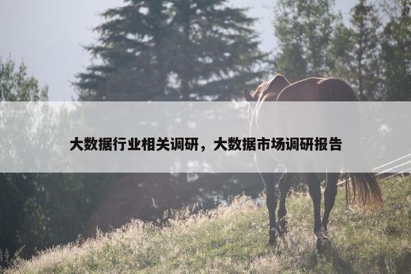 大数据行业相关调研，大数据市场调研报告