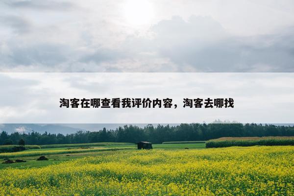 淘客在哪查看我评价内容,淘客去哪找 淘客在哪查看我评价内容,淘客去哪找