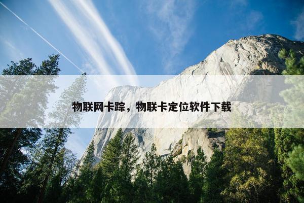 物联网卡踪，物联卡定位软件下载