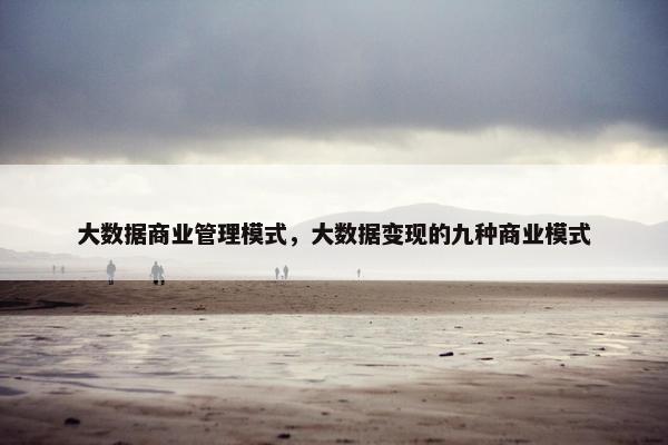 大数据商业管理模式,大数据变现的九种商业模式 大数据商业管理模式,大数据变现的九种商业模式
