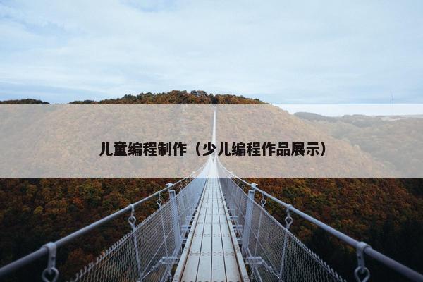 儿童编程制作（少儿编程作品展示）