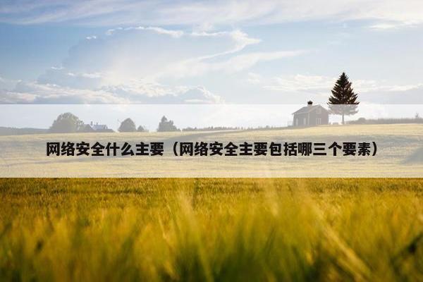 网络安全什么主要（网络安全主要包括哪三个要素）