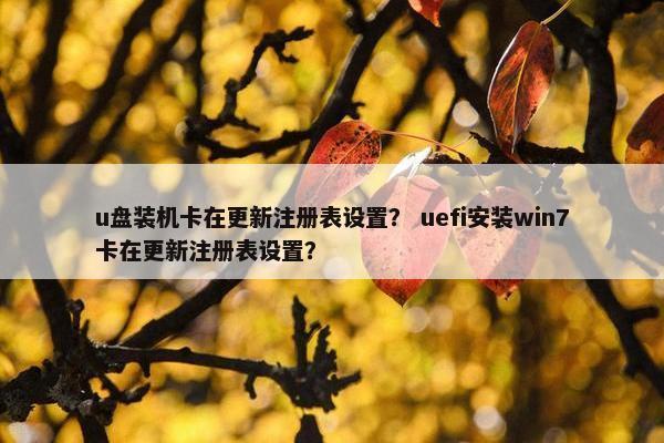 u盘装机卡在更新注册表设置? uefi安装win7卡在更新注册表设置? u盘装机卡在更新注册表设置? uefi安装win7卡在更新注册表设置?