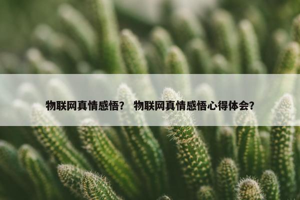 物联网真情感悟？ 物联网真情感悟心得体会？