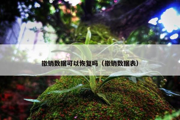撤销数据可以恢复吗（撤销数据表）