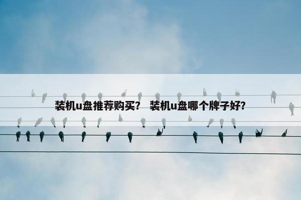 装机u盘推荐购买？ 装机u盘哪个牌子好？