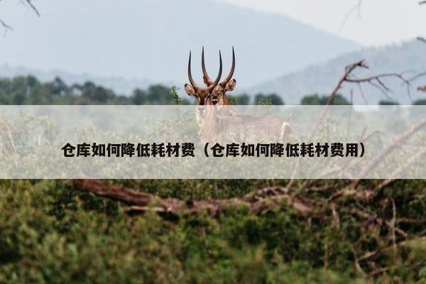 仓库如何降低耗材费（仓库如何降低耗材费用）