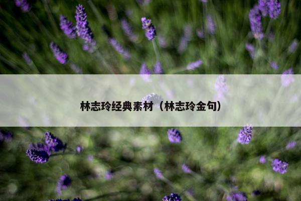 林志玲经典素材(林志玲金句) 林志玲经典素材(林志玲金句)