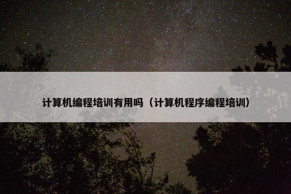 计算机编程培训有用吗（计算机程序编程培训）