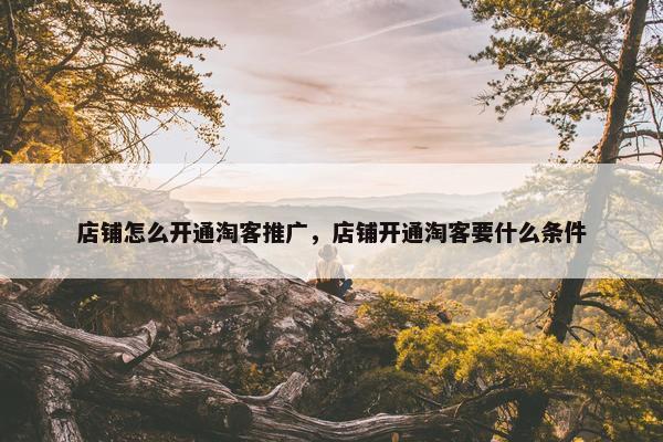 店铺怎么开通淘客推广，店铺开通淘客要什么条件