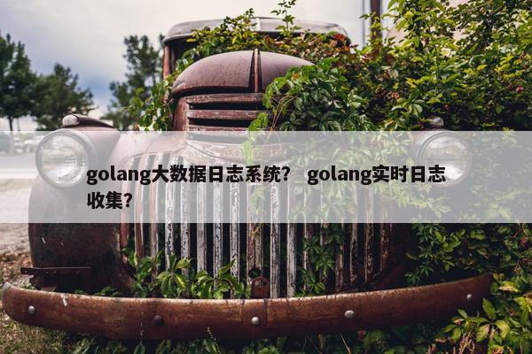 golang大数据日志系统？ golang实时日志收集？