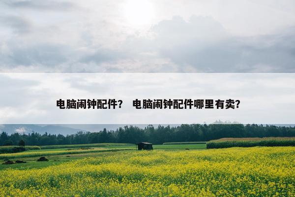 电脑闹钟配件？ 电脑闹钟配件哪里有卖？