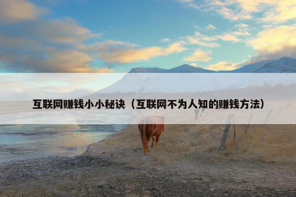 互联网赚钱小小秘诀（互联网不为人知的赚钱方法）