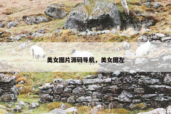 美女图片源码导航，美女图左