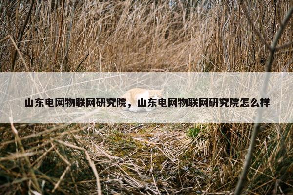 山东电网物联网研究院，山东电网物联网研究院怎么样