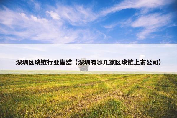 深圳区块链行业集结（深圳有哪几家区块链上市公司）