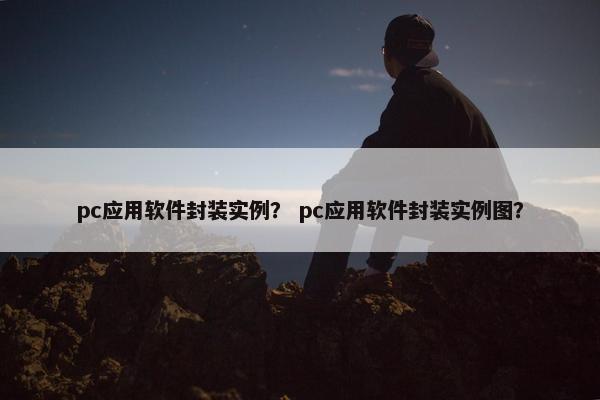 pc应用软件封装实例？ pc应用软件封装实例图？