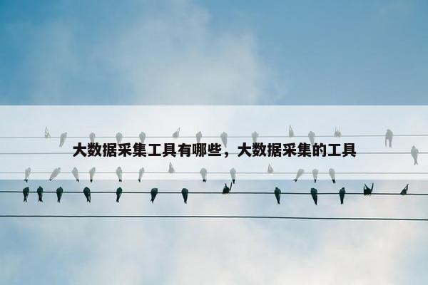 大数据采集工具有哪些，大数据采集的工具