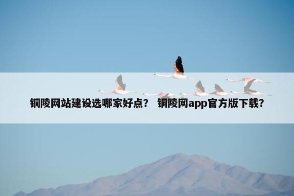 铜陵网站建设选哪家好点？ 铜陵网app官方版下载？
