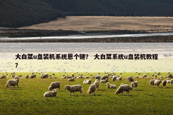大白菜u盘装机系统恩个键？ 大白菜系统u盘装机教程？