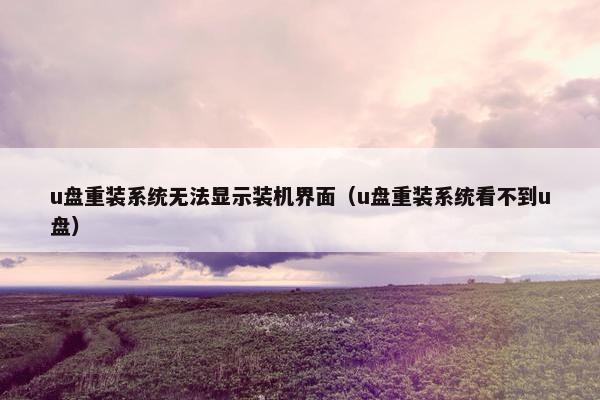 u盘重装系统无法显示装机界面（u盘重装系统看不到u盘）