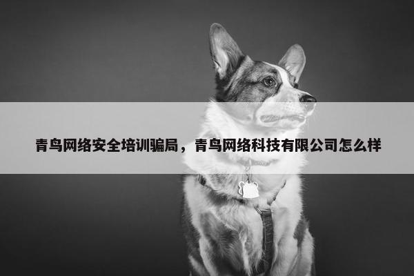 青鸟网络安全培训骗局，青鸟网络科技有限公司怎么样