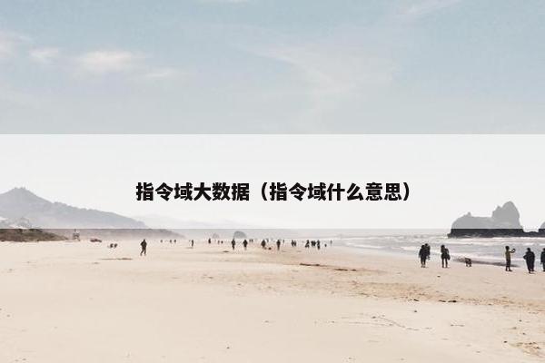 指令域大数据（指令域什么意思）