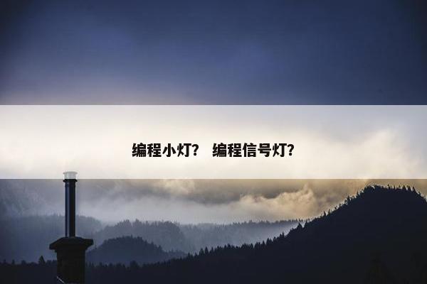 编程小灯？ 编程信号灯？