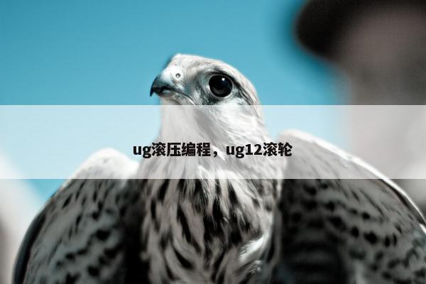 ug滚压编程，ug12滚轮