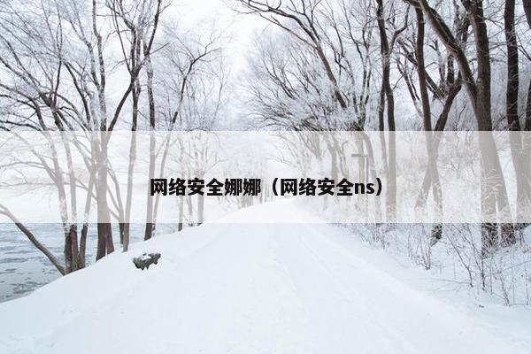 网络安全娜娜（网络安全ns）