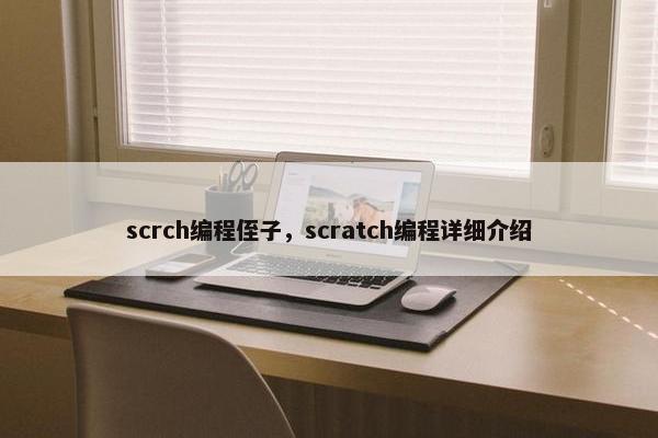 scrch编程侄子，scratch编程详细介绍