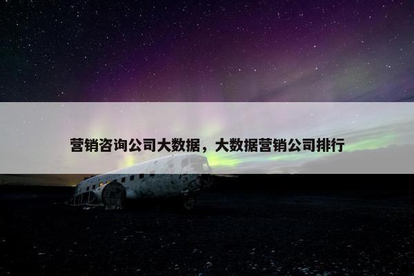 营销咨询公司大数据，大数据营销公司排行