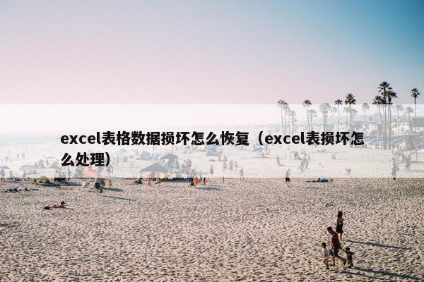 excel表格数据损坏怎么恢复（excel表损坏怎么处理）