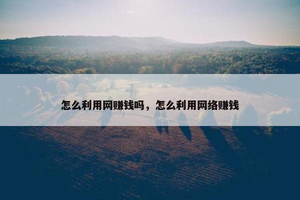 怎么利用网赚钱吗，怎么利用网络赚钱