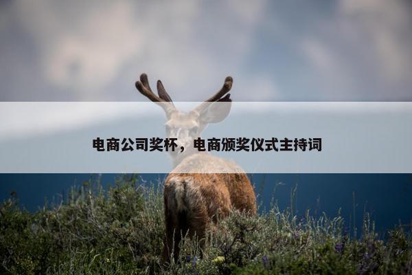 电商公司奖杯，电商颁奖仪式主持词