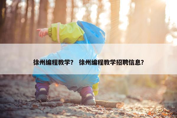 徐州编程教学？ 徐州编程教学招聘信息？