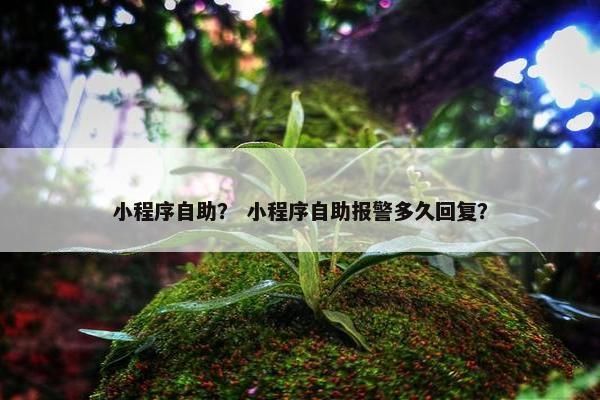 小程序自助？ 小程序自助报警多久回复？