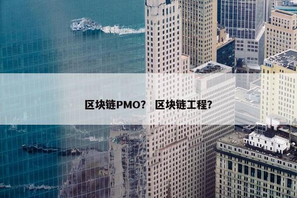 区块链PMO? 区块链工程? 区块链PMO? 区块链工程?