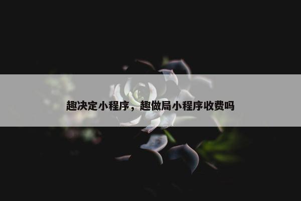 趣决定小程序，趣做局小程序收费吗