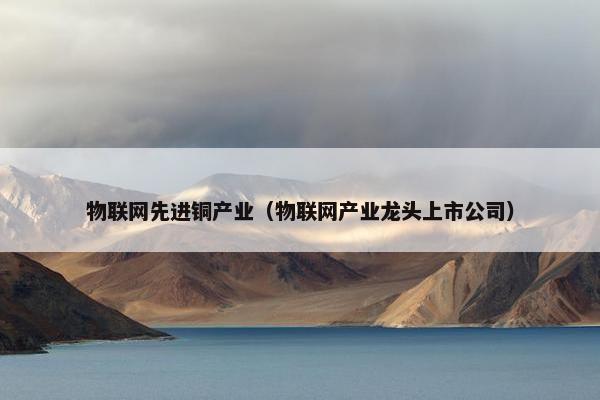 物联网先进铜产业（物联网产业龙头上市公司）