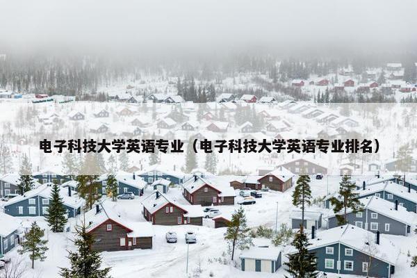电子科技大学英语专业（电子科技大学英语专业排名）