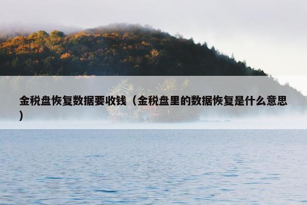 金税盘恢复数据要收钱（金税盘里的数据恢复是什么意思）