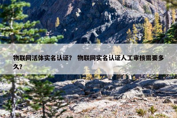 物联网活体实名认证？ 物联网实名认证人工审核需要多久？