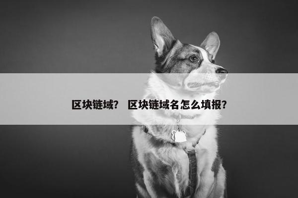 区块链域？ 区块链域名怎么填报？