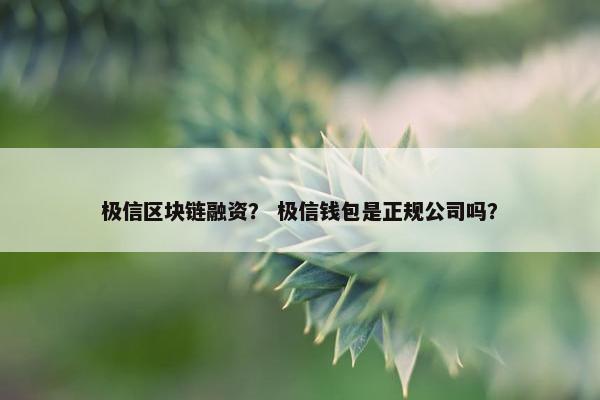 极信区块链融资？ 极信钱包是正规公司吗？