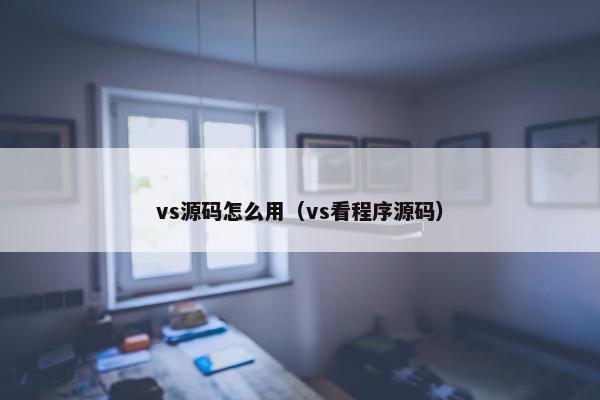 vs源码怎么用（vs看程序源码）